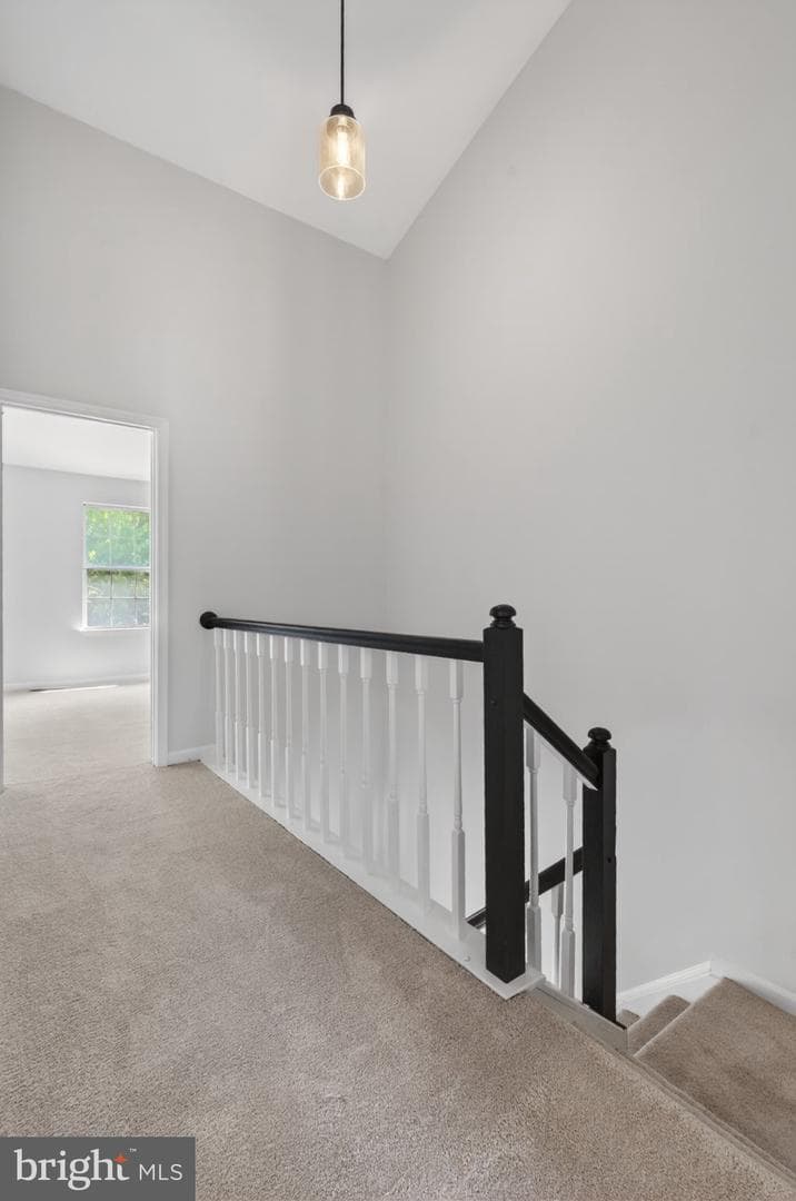 232 Finchingfield Court photo 23