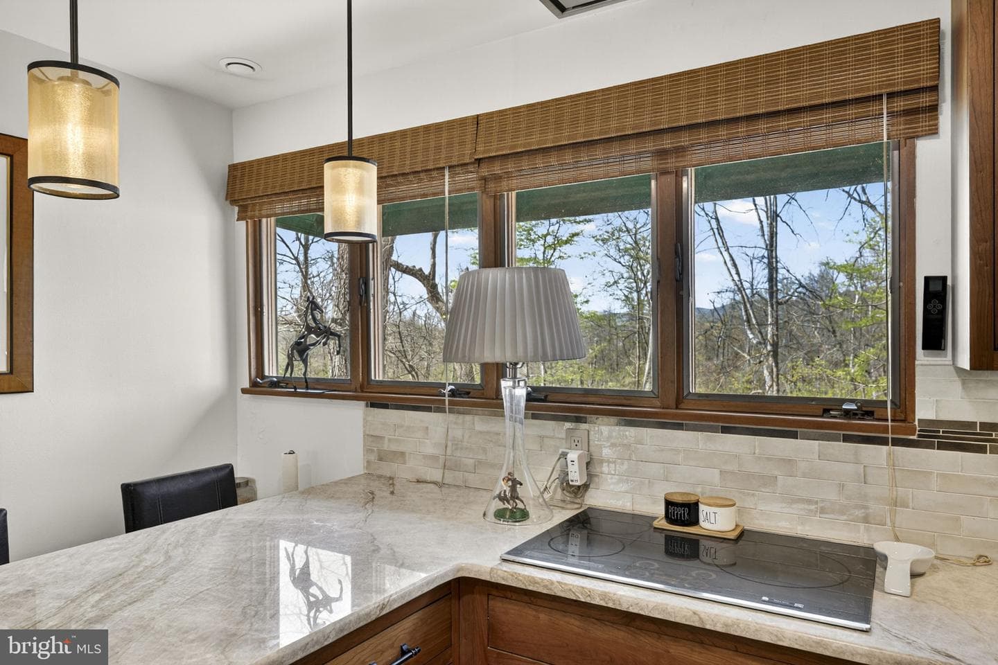 24680 Germania Lane photo 41