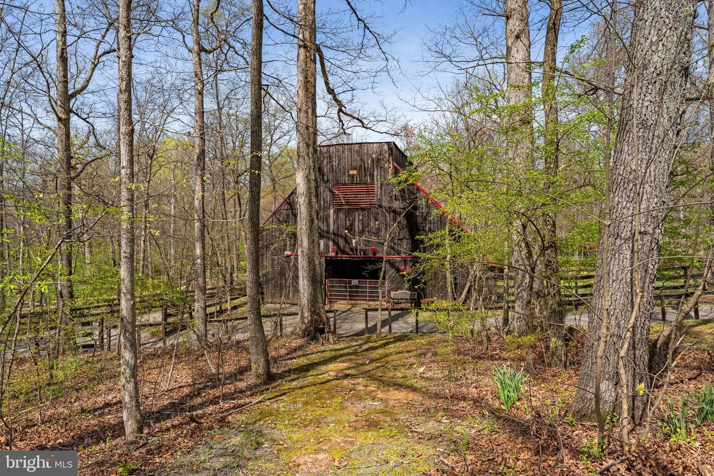 24680 Germania Lane photo 62