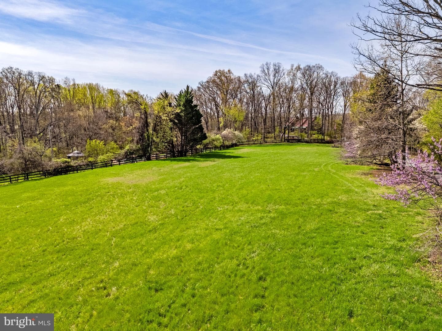 24680 Germania Lane photo 68