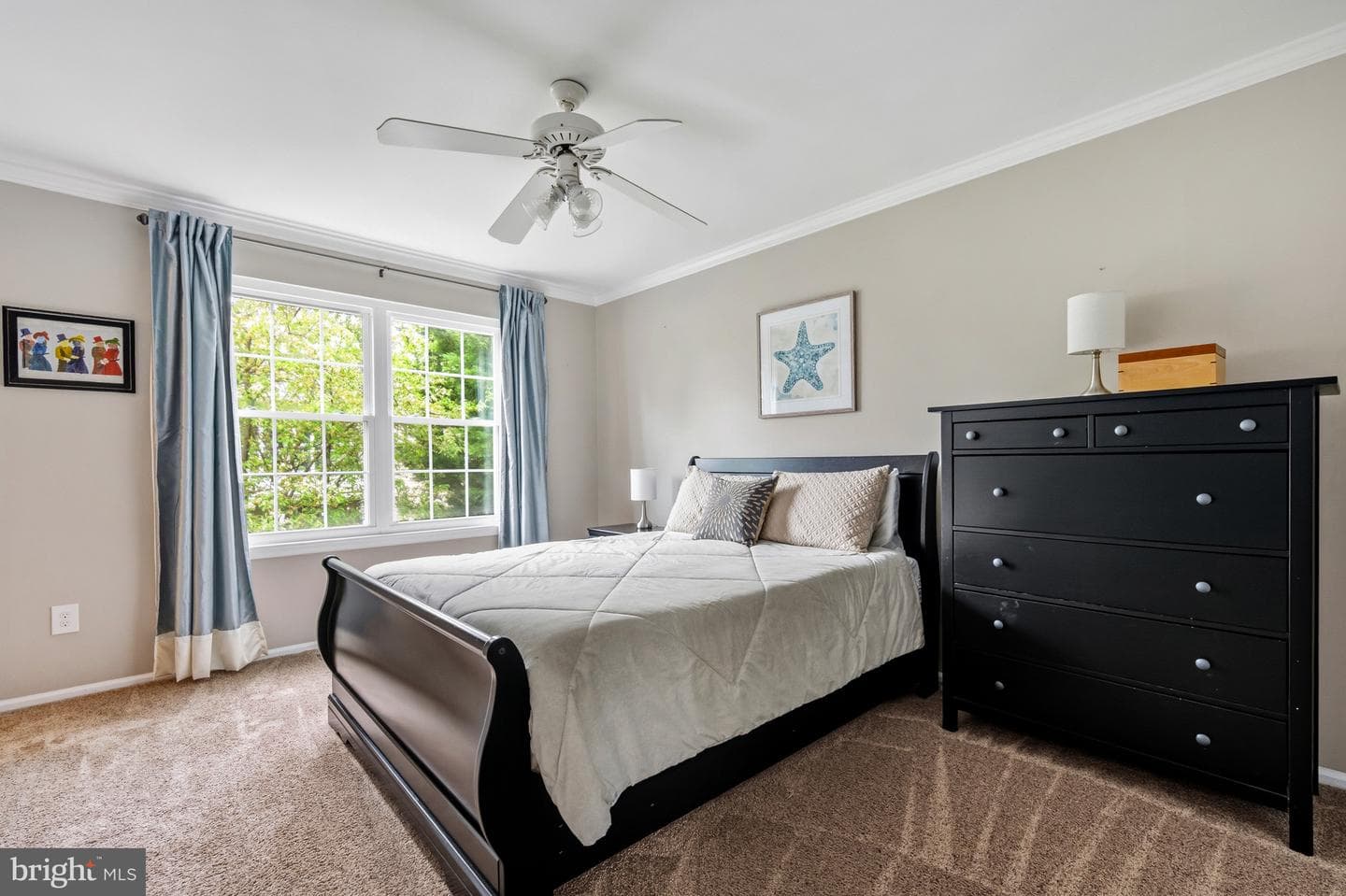 5 Dudley Court photo 29