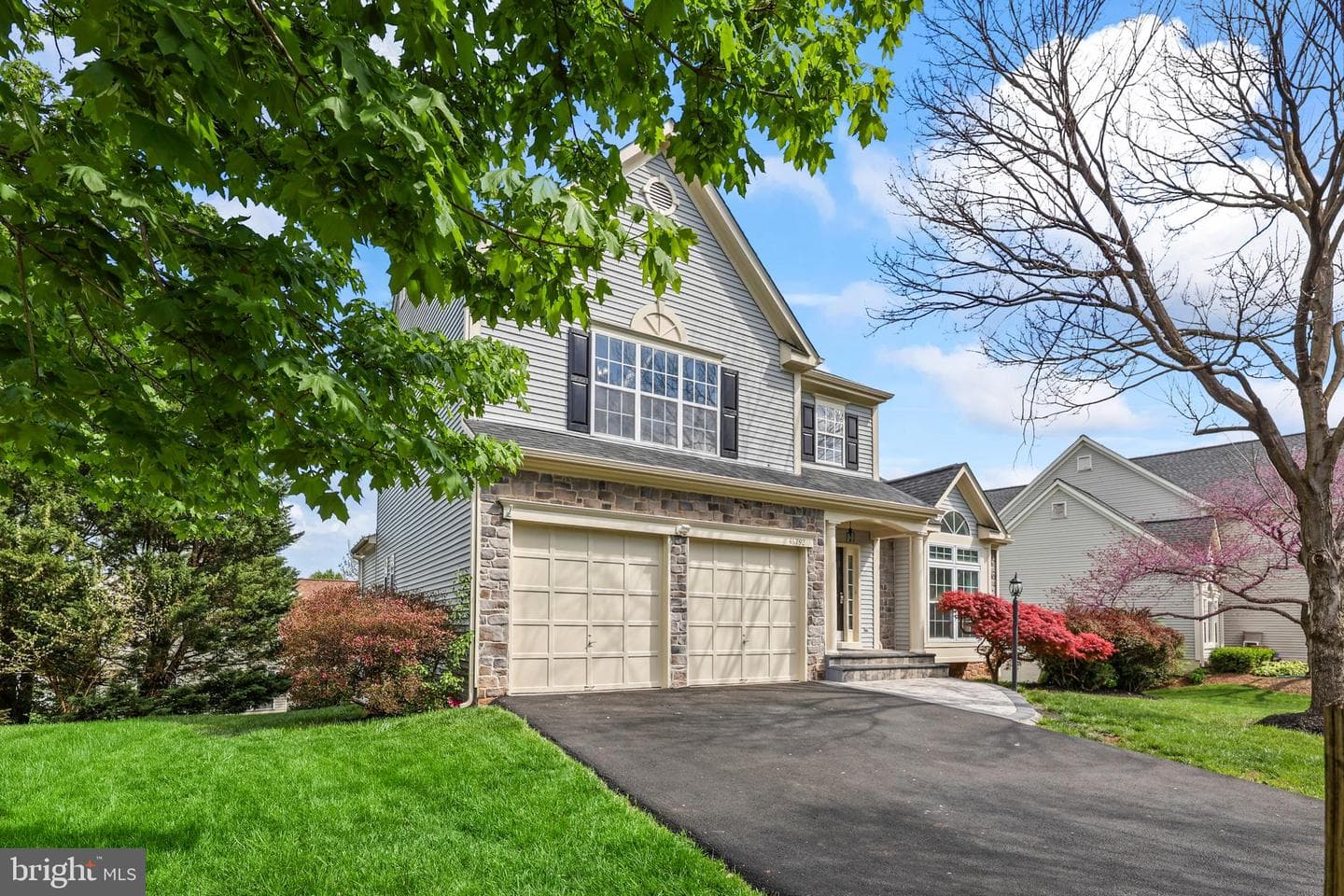 46792 Trailwood Place photo 3