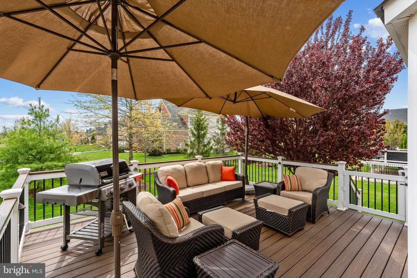 24242 Purple Finch Drive photo 24