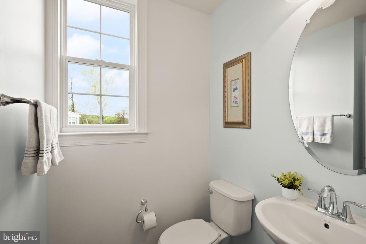 14 Braeburn Court photo 40