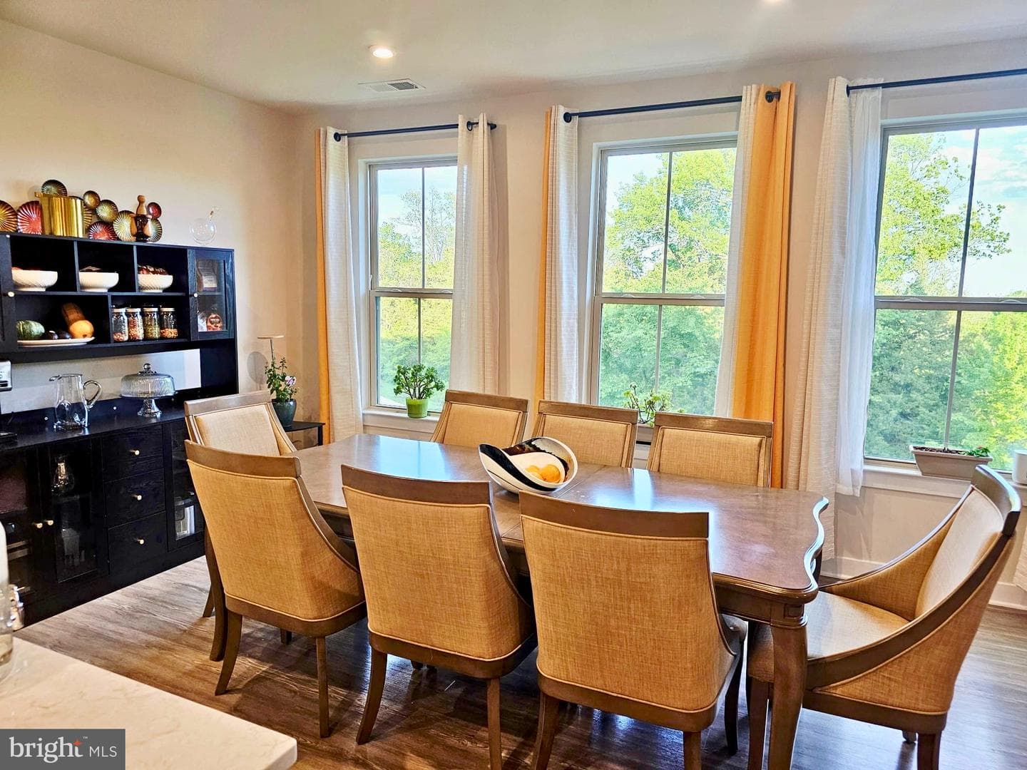 24750 Monk Meadows Terrace photo 4