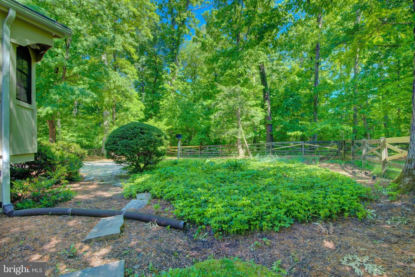 44 Carrollton Road photo 65