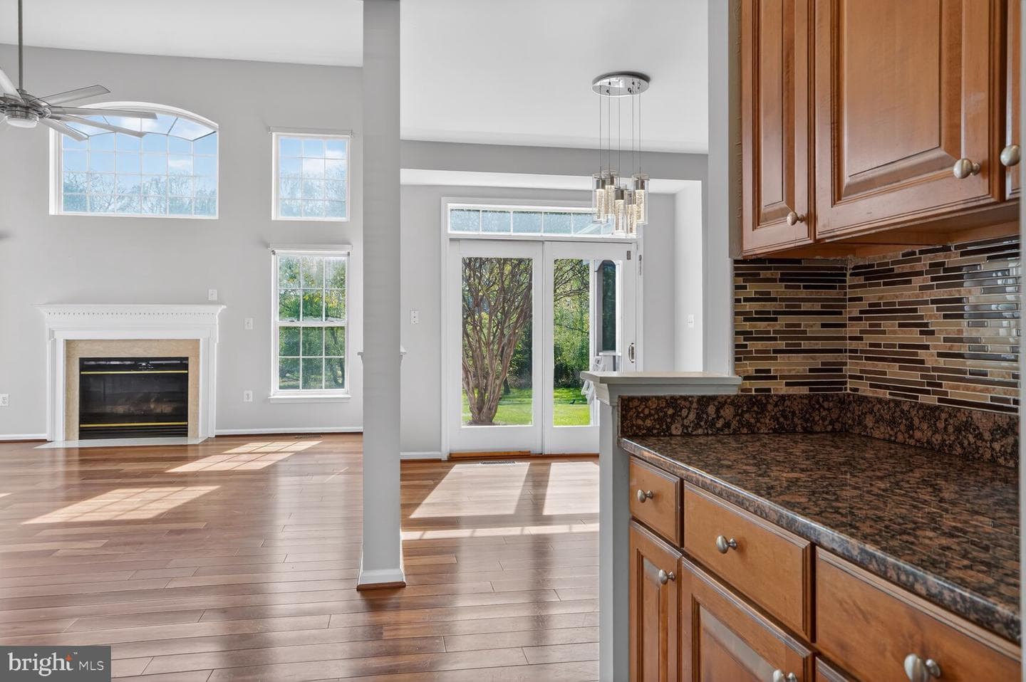 25845 Spring Farm Circle photo 5
