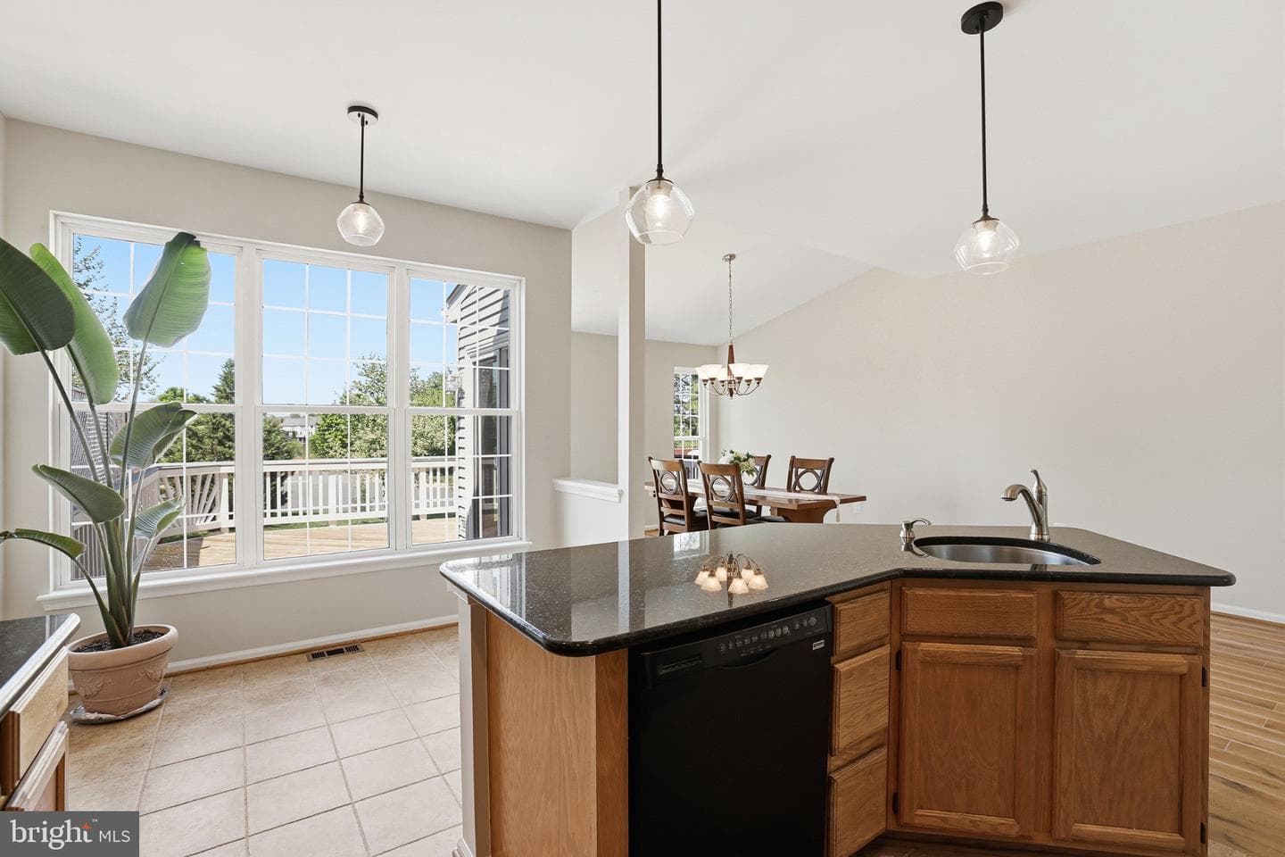 44100 Rising Sun Terrace photo 22