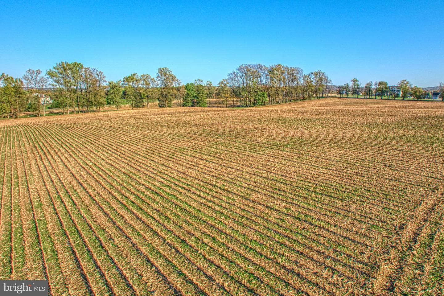38678 Piggott Bottom Road photo 100