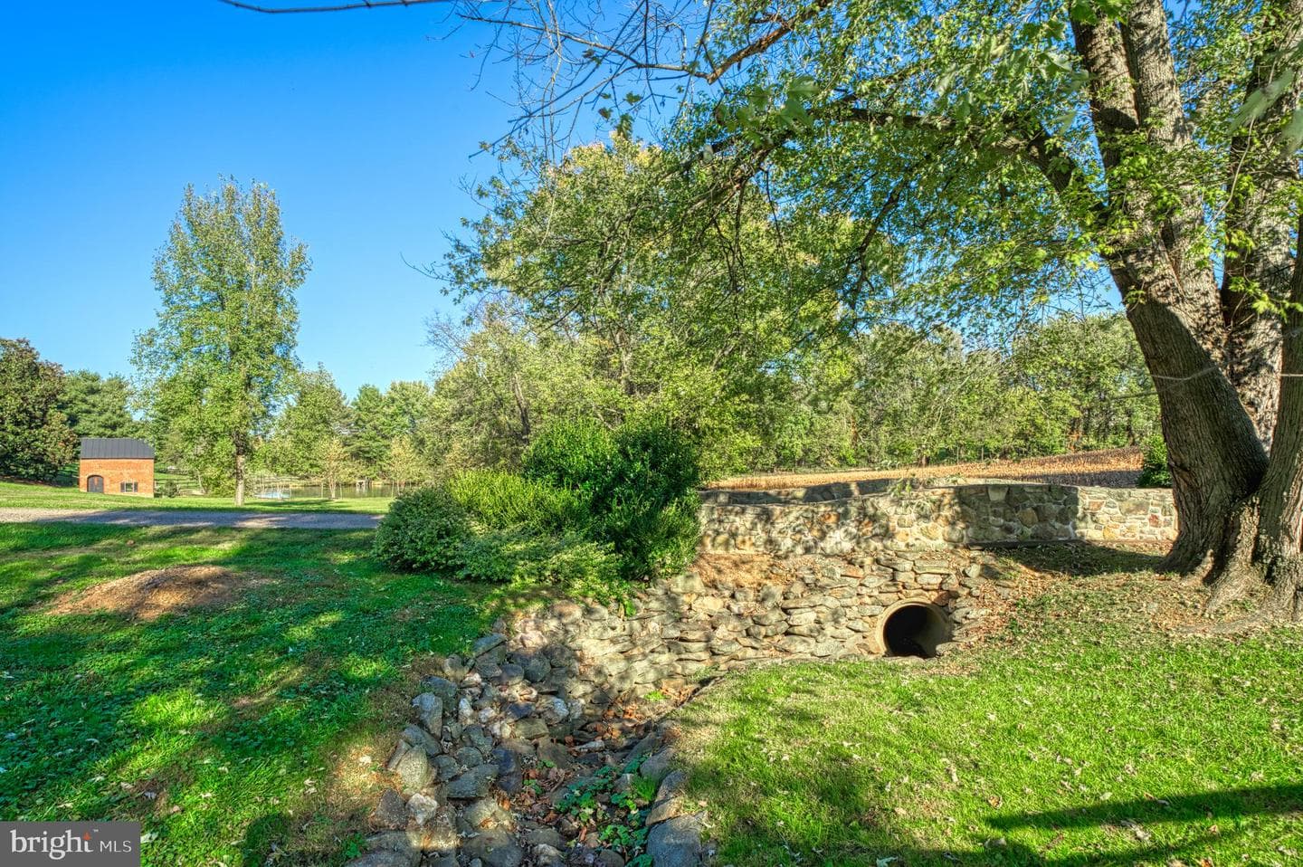 38678 Piggott Bottom Road photo 80