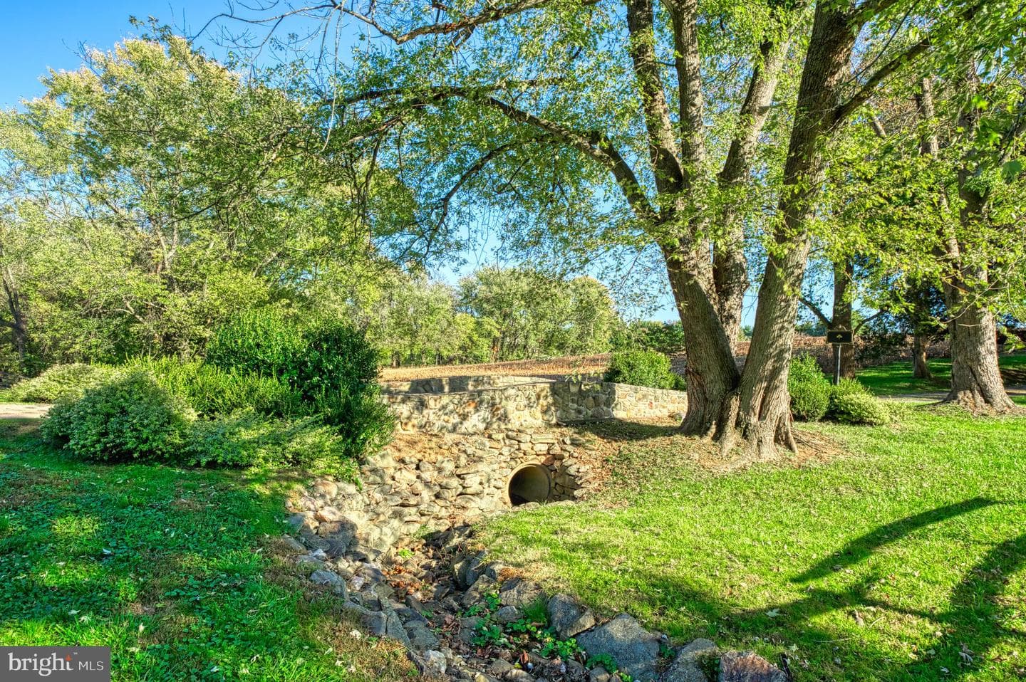 38678 Piggott Bottom Road photo 81