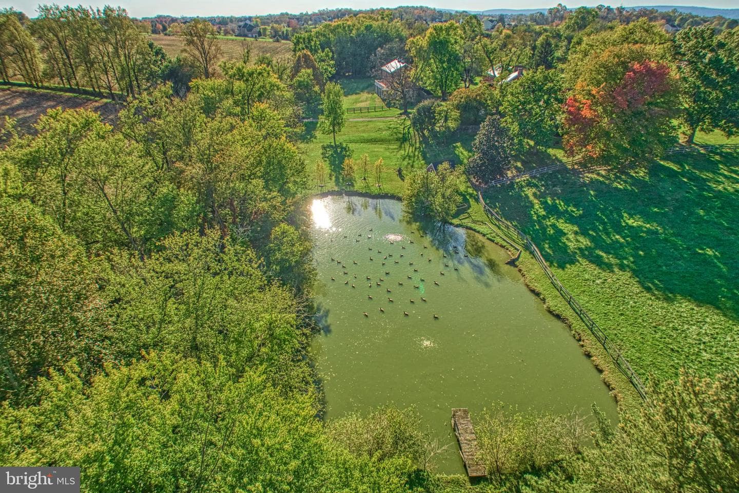 38678 Piggott Bottom Road photo 84