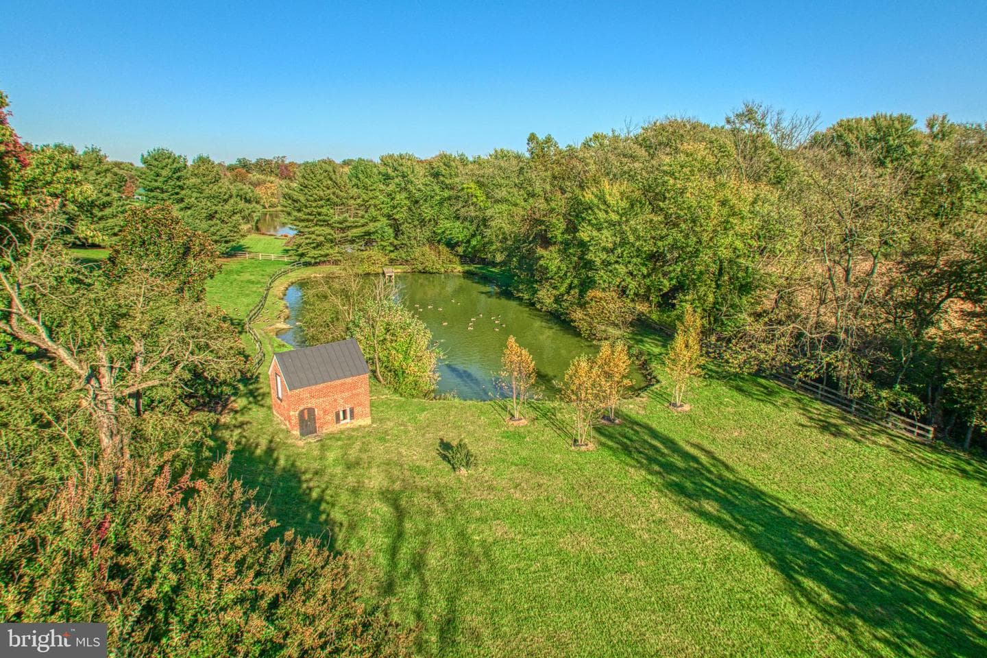 38678 Piggott Bottom Road photo 9