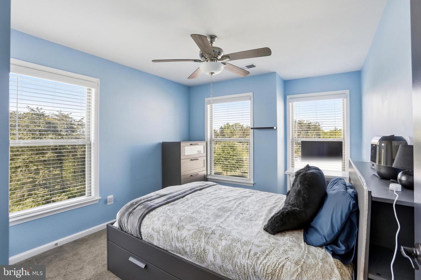 42321 Alder Forest Terrace photo 13