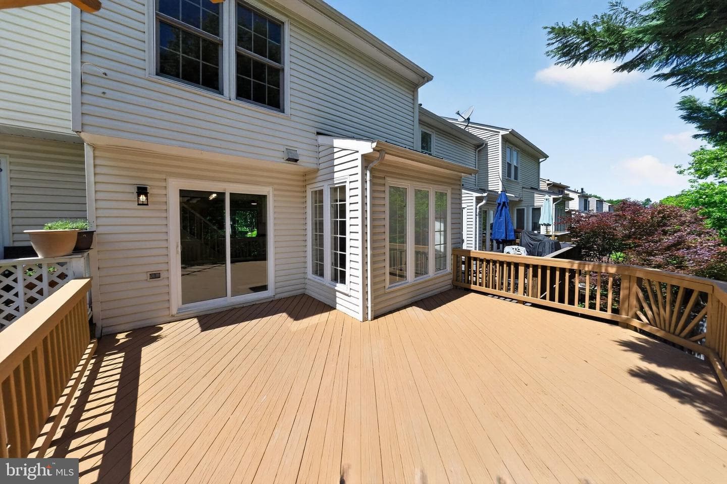 21152 Hedgerow Terrace photo 6