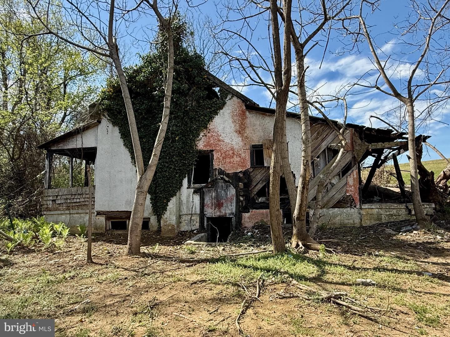 37038 Pinehill Lane photo 10