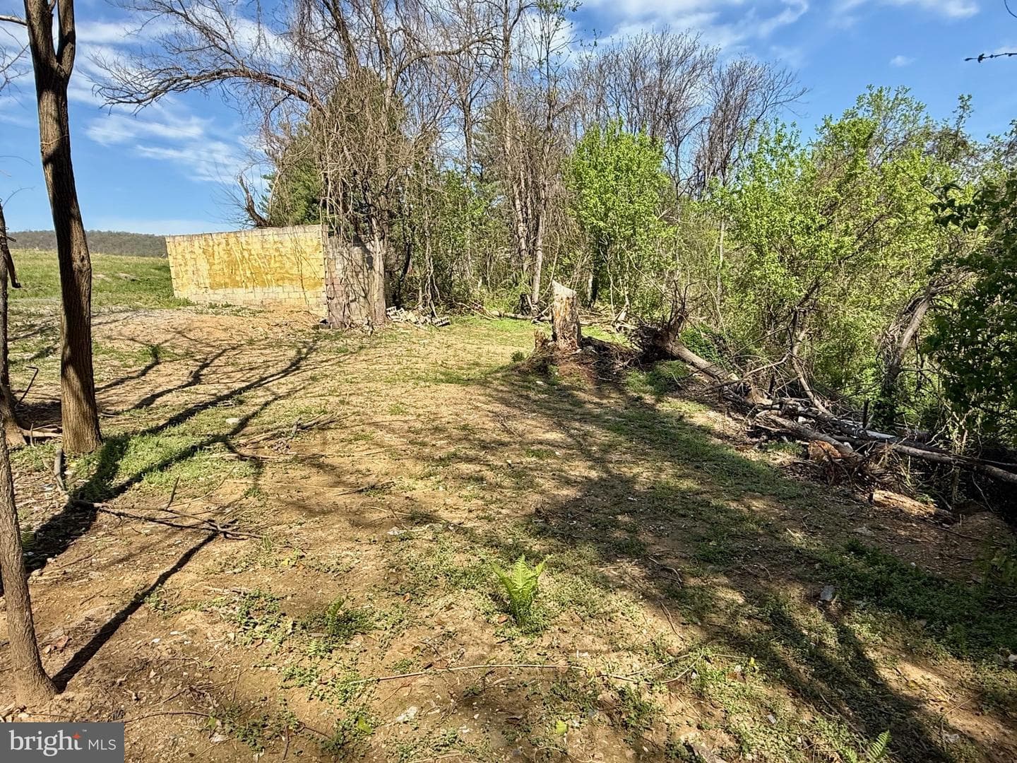37038 Pinehill Lane photo 12