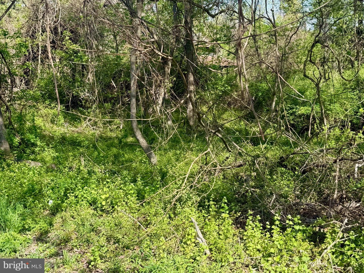 37038 Pinehill Lane photo 15