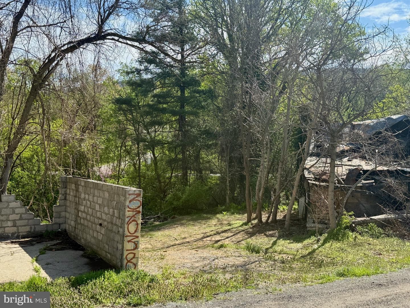37038 Pinehill Lane photo 5