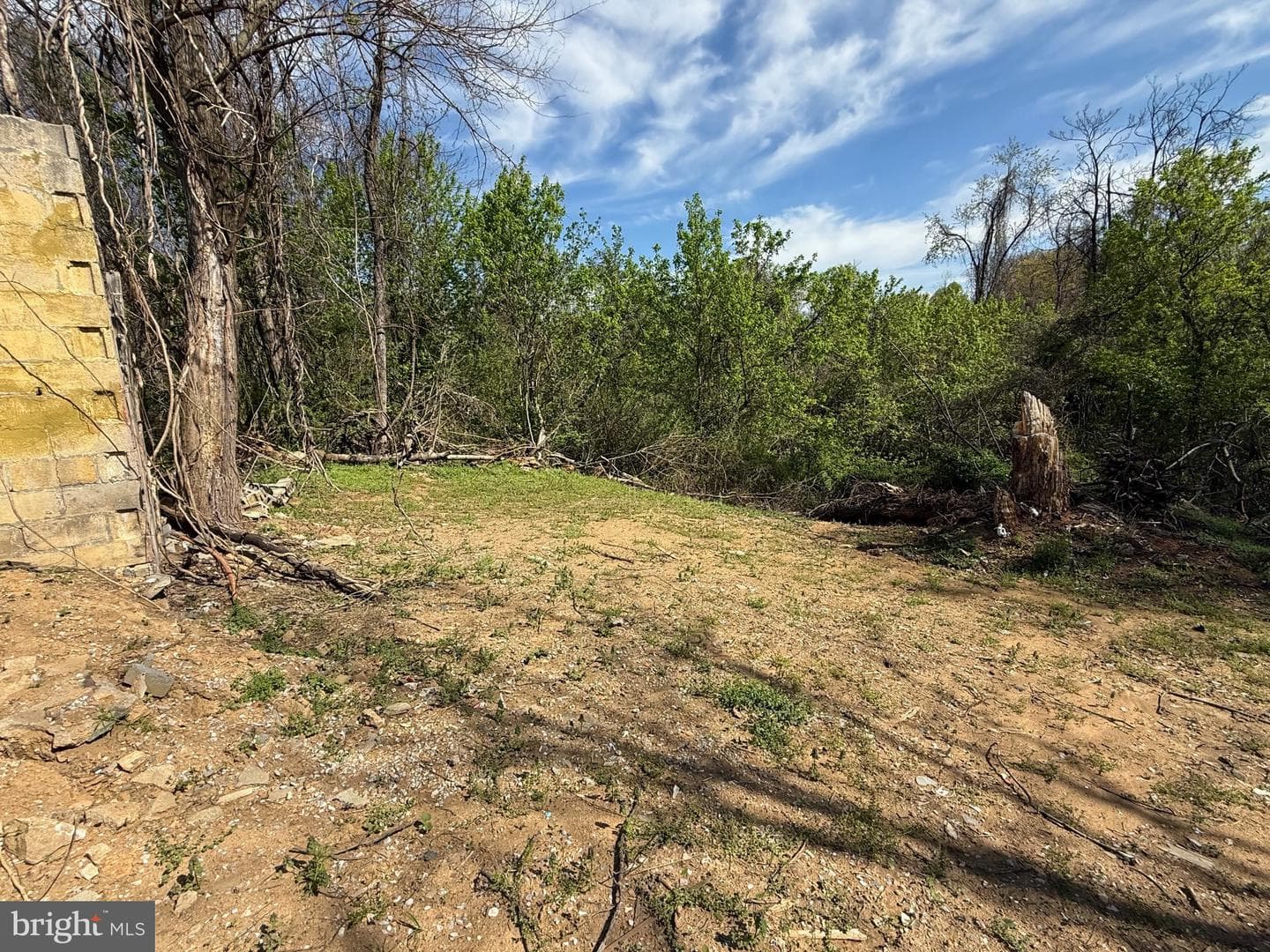 37038 Pinehill Lane photo 9