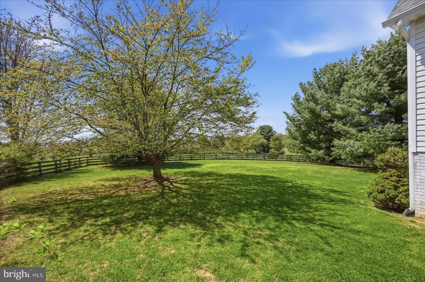 12282 Enfield Lane photo 53