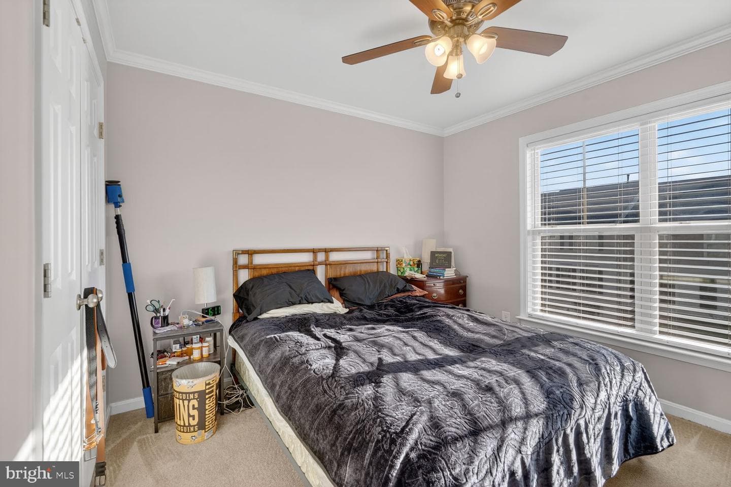22166 Napier Terrace photo 22