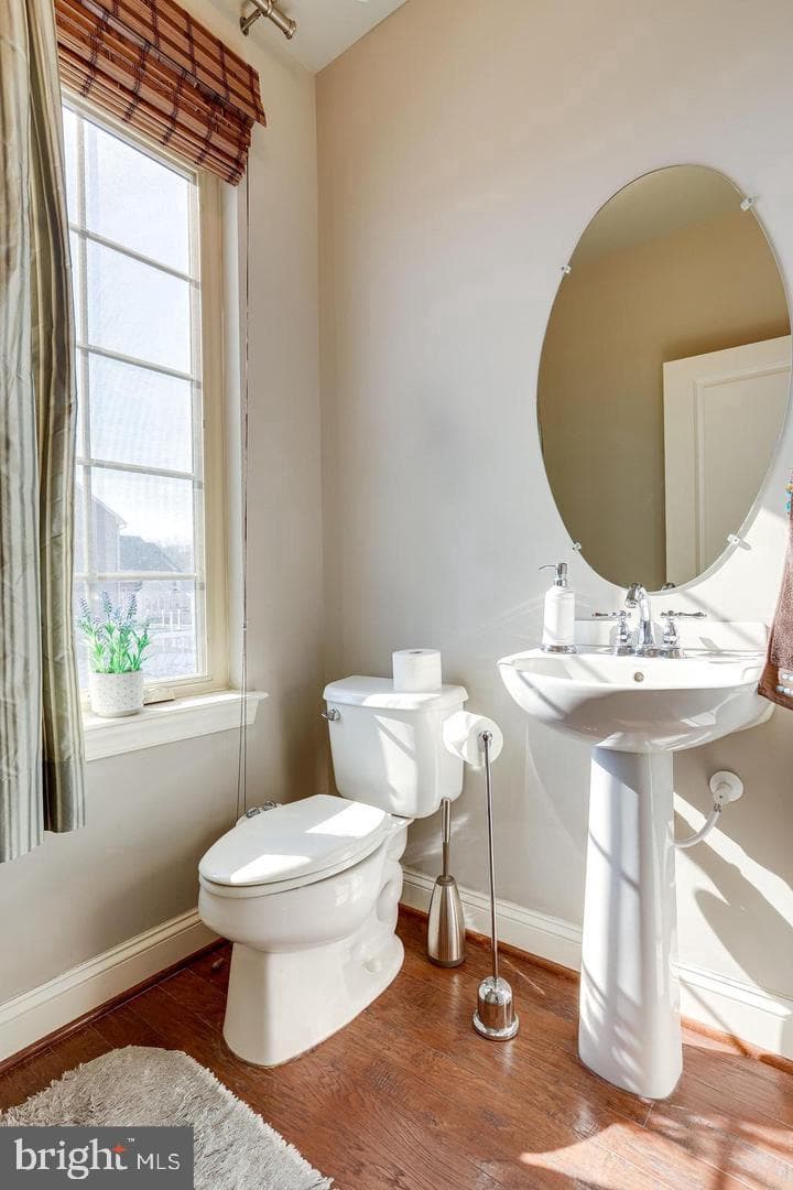 42257 Bliss Terrace photo 36