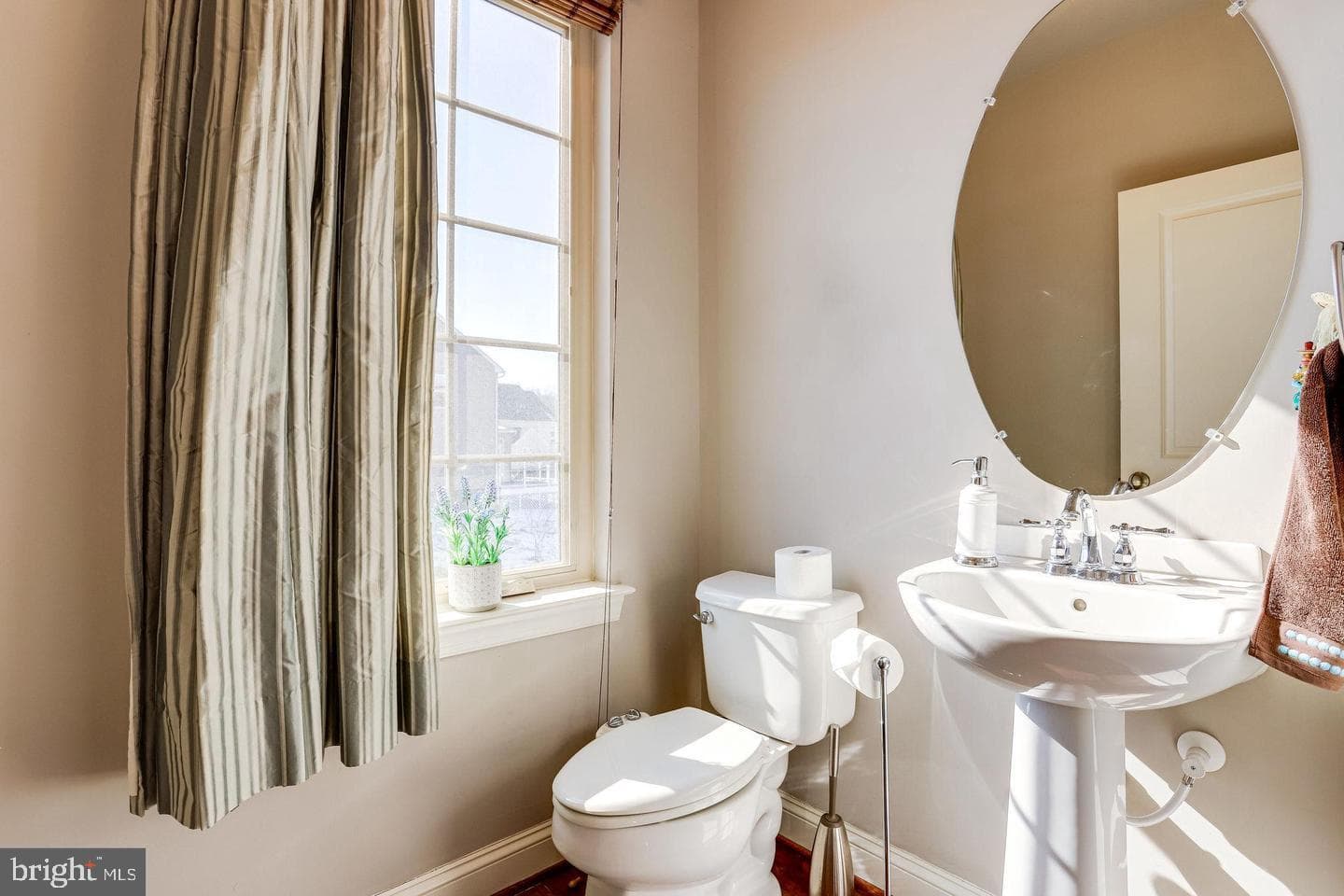 42257 Bliss Terrace photo 37