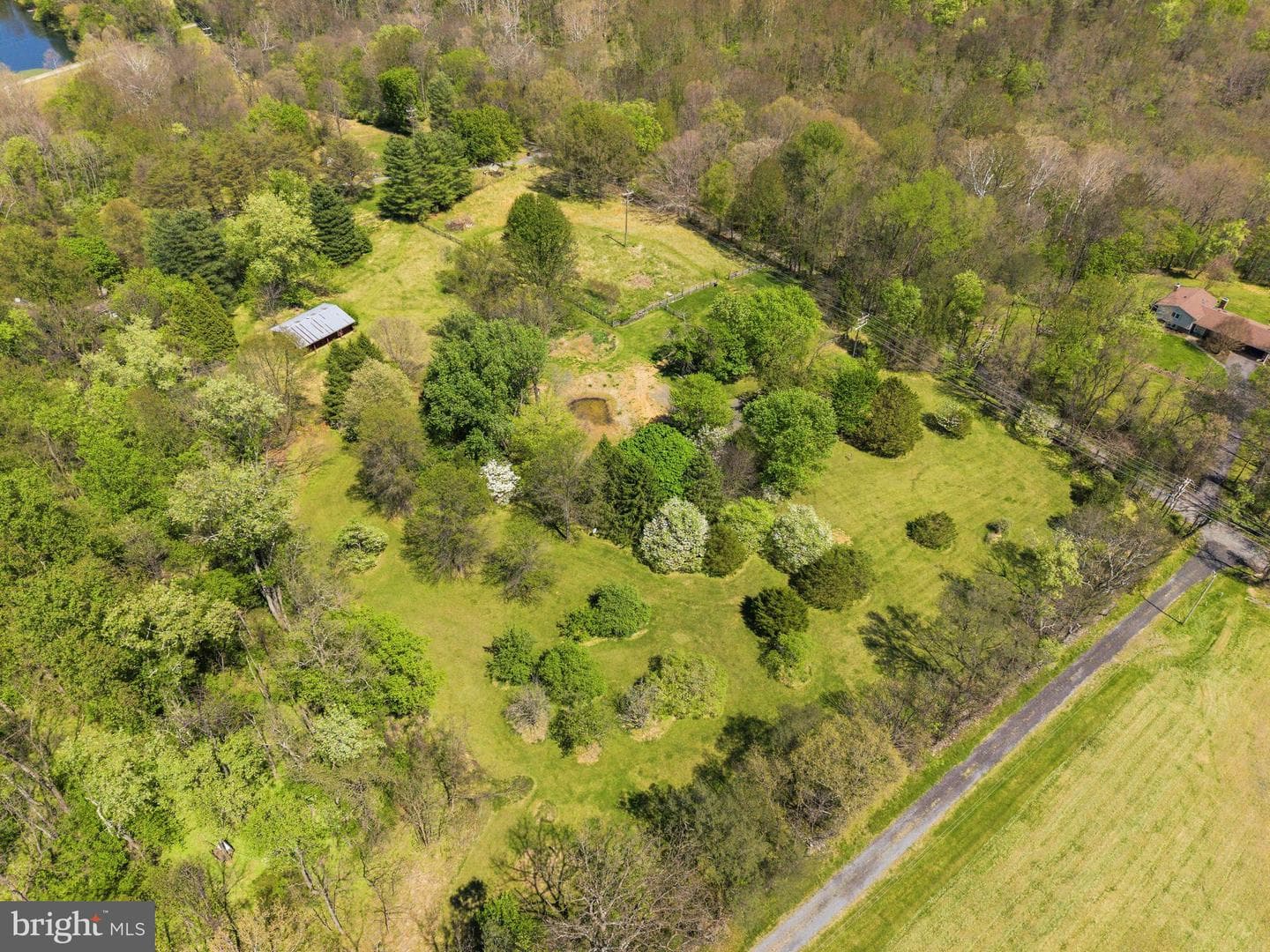 13121 Orrison Road photo 10