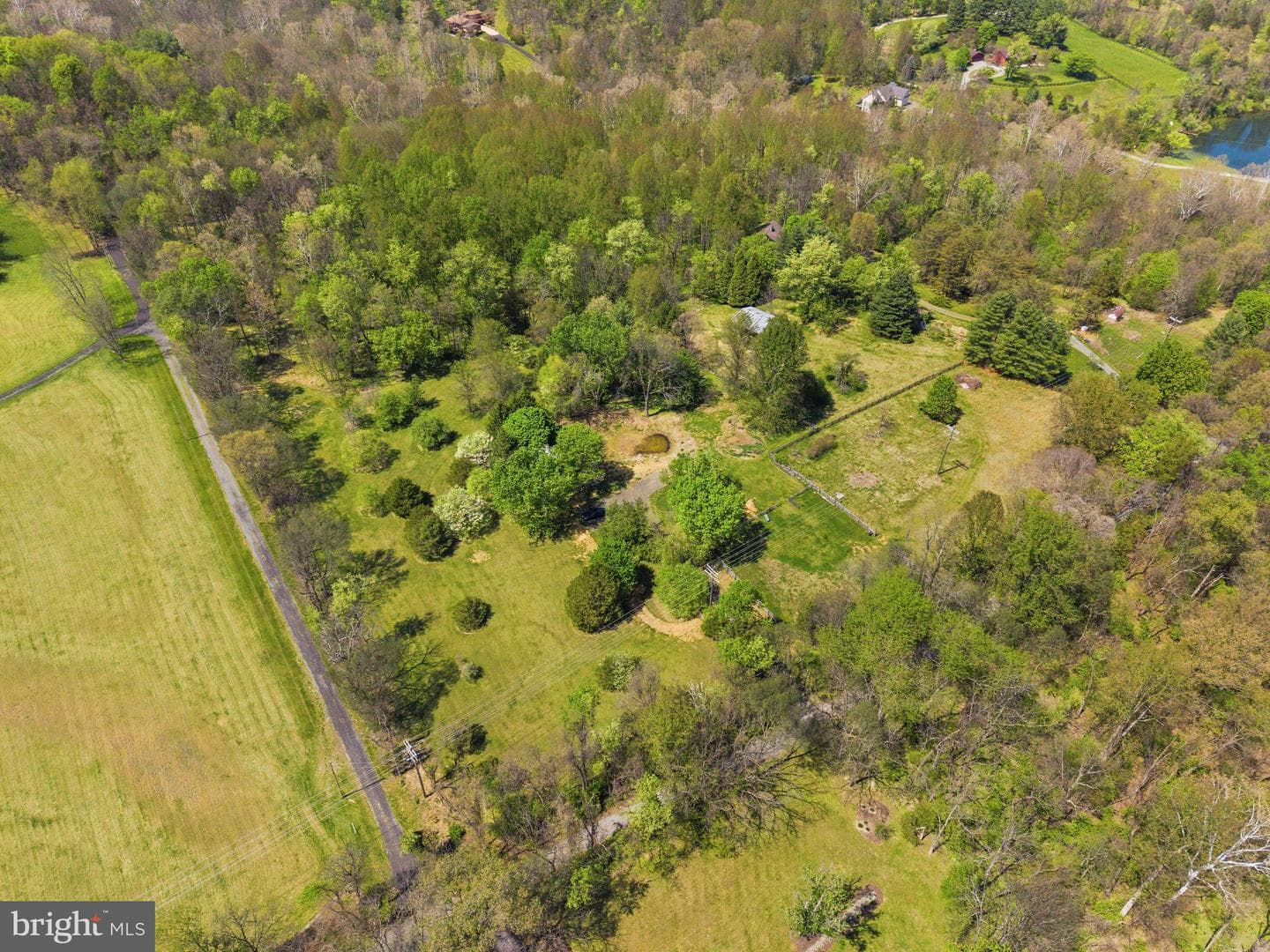 13121 Orrison Road photo 11