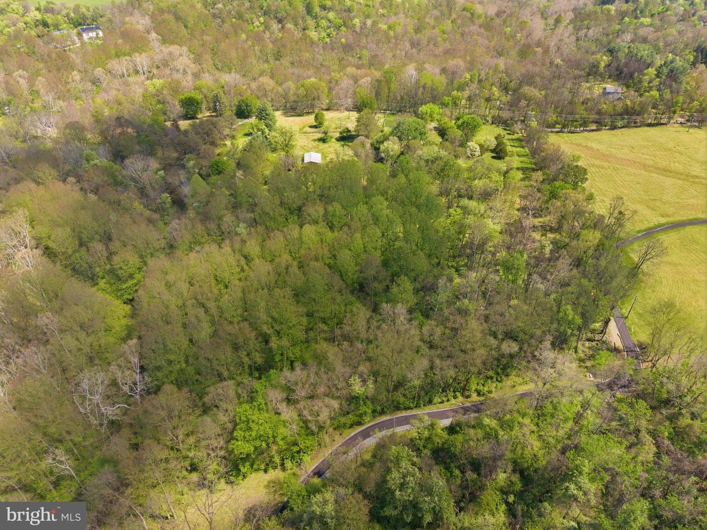 13121 Orrison Road photo 13
