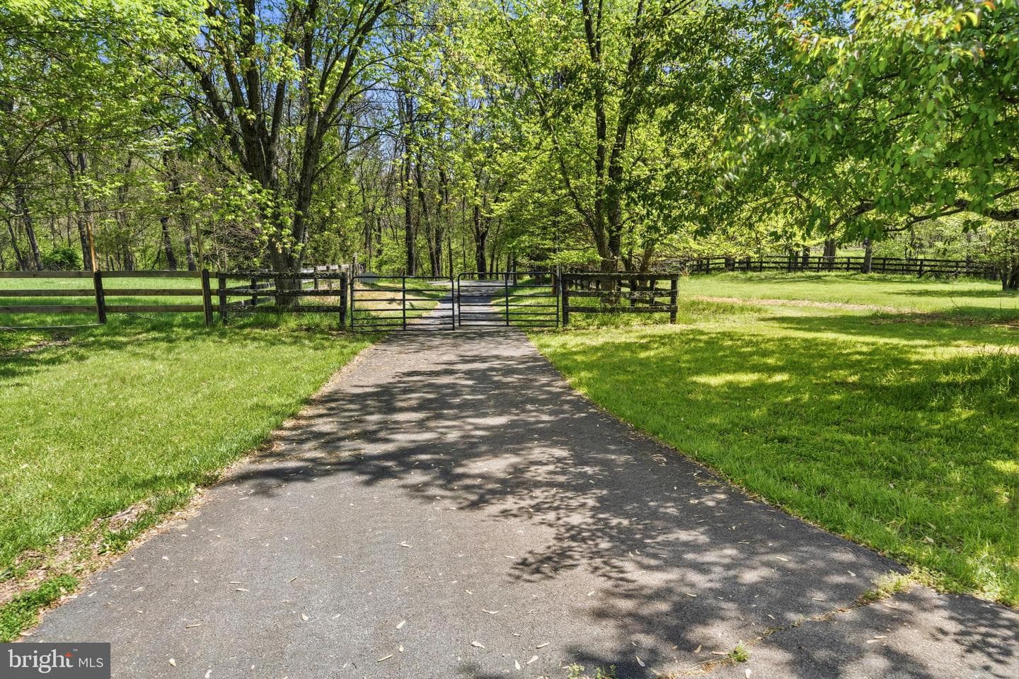 13121 Orrison Road photo 6