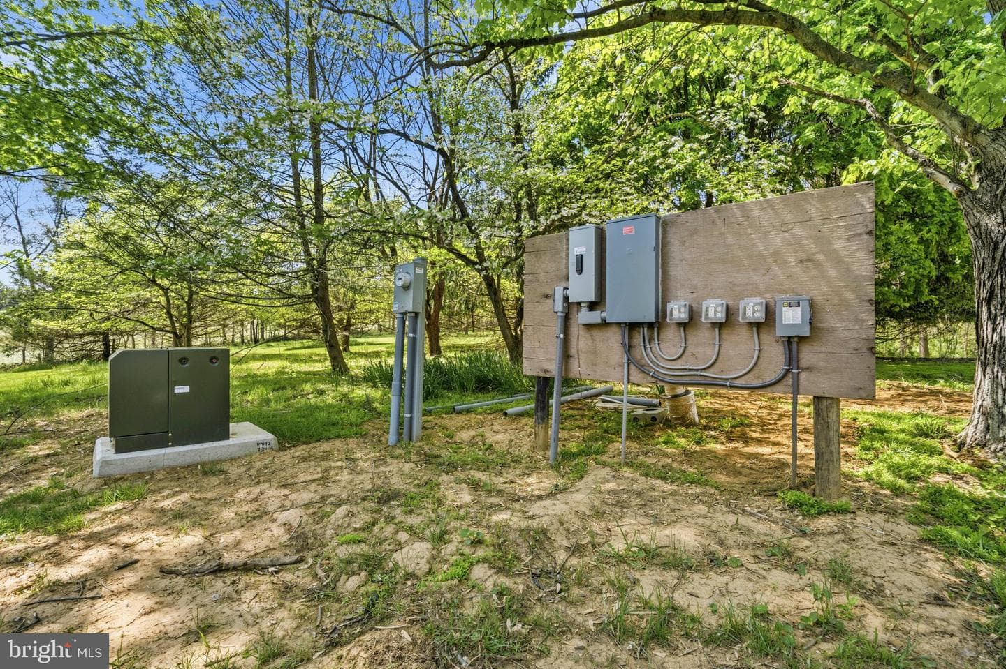 13121 Orrison Road photo 7