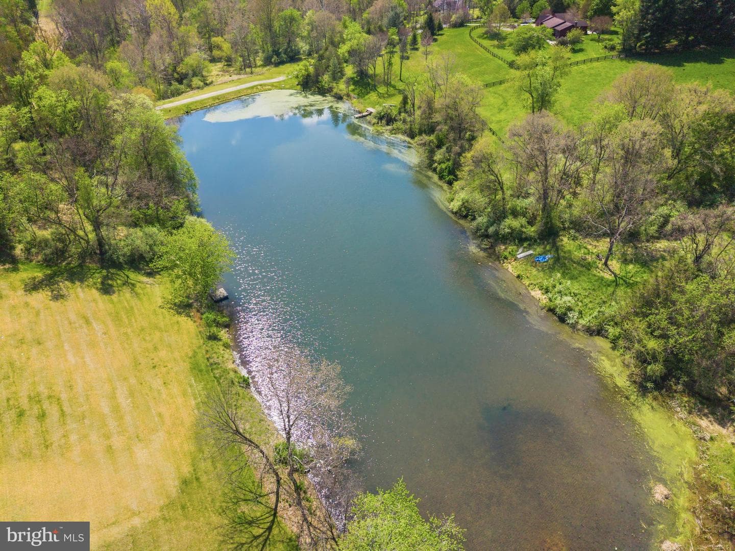 13121 Orrison Road photo 8