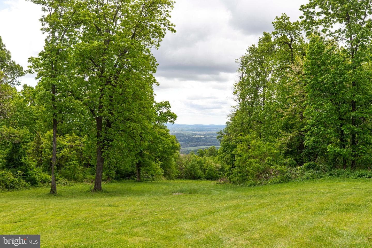 20711 Blueridge Mountain Road photo 3