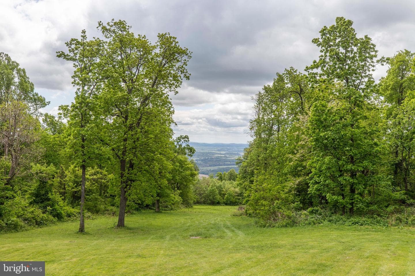 20711 Blueridge Mountain Road photo 4