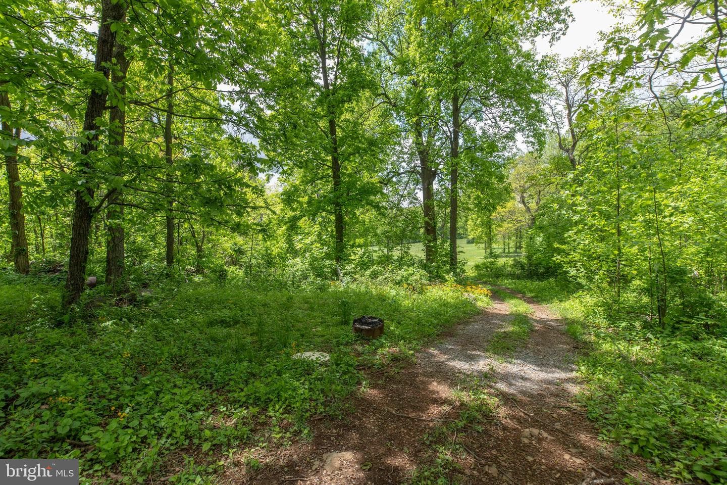 20711 Blueridge Mountain Road photo 72