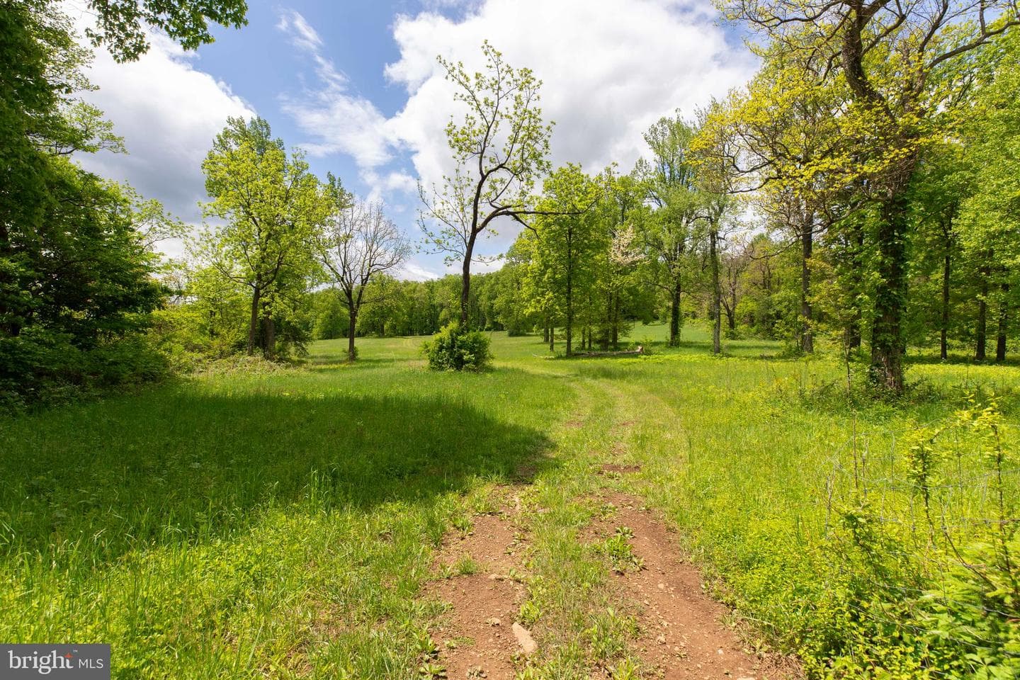20711 Blueridge Mountain Road photo 78