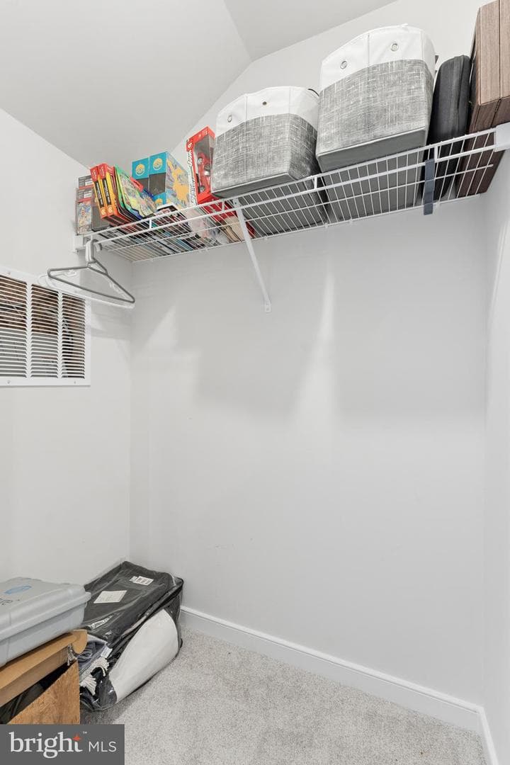 22906 Tawny Pine photo 31
