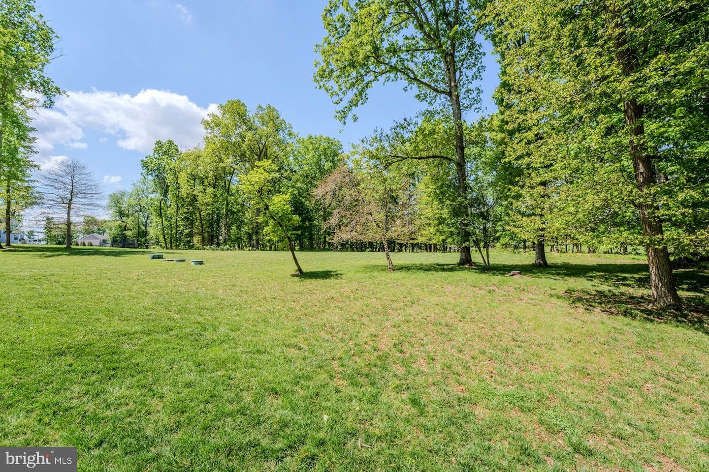 14963 Creek Point Court photo 43
