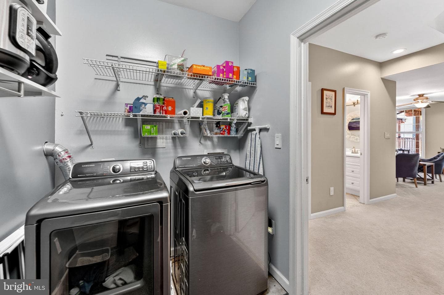 46747 Abington Terrace photo 49