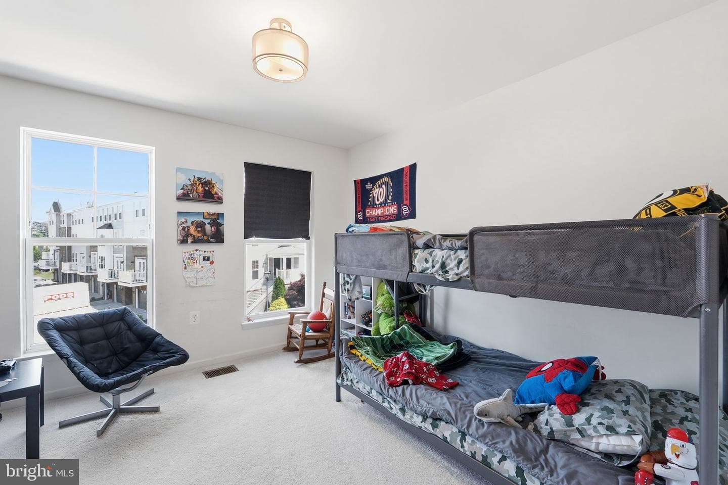 42167 Canary Grass Square photo 17