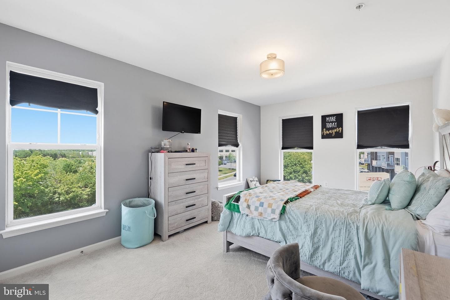 42167 Canary Grass Square photo 21