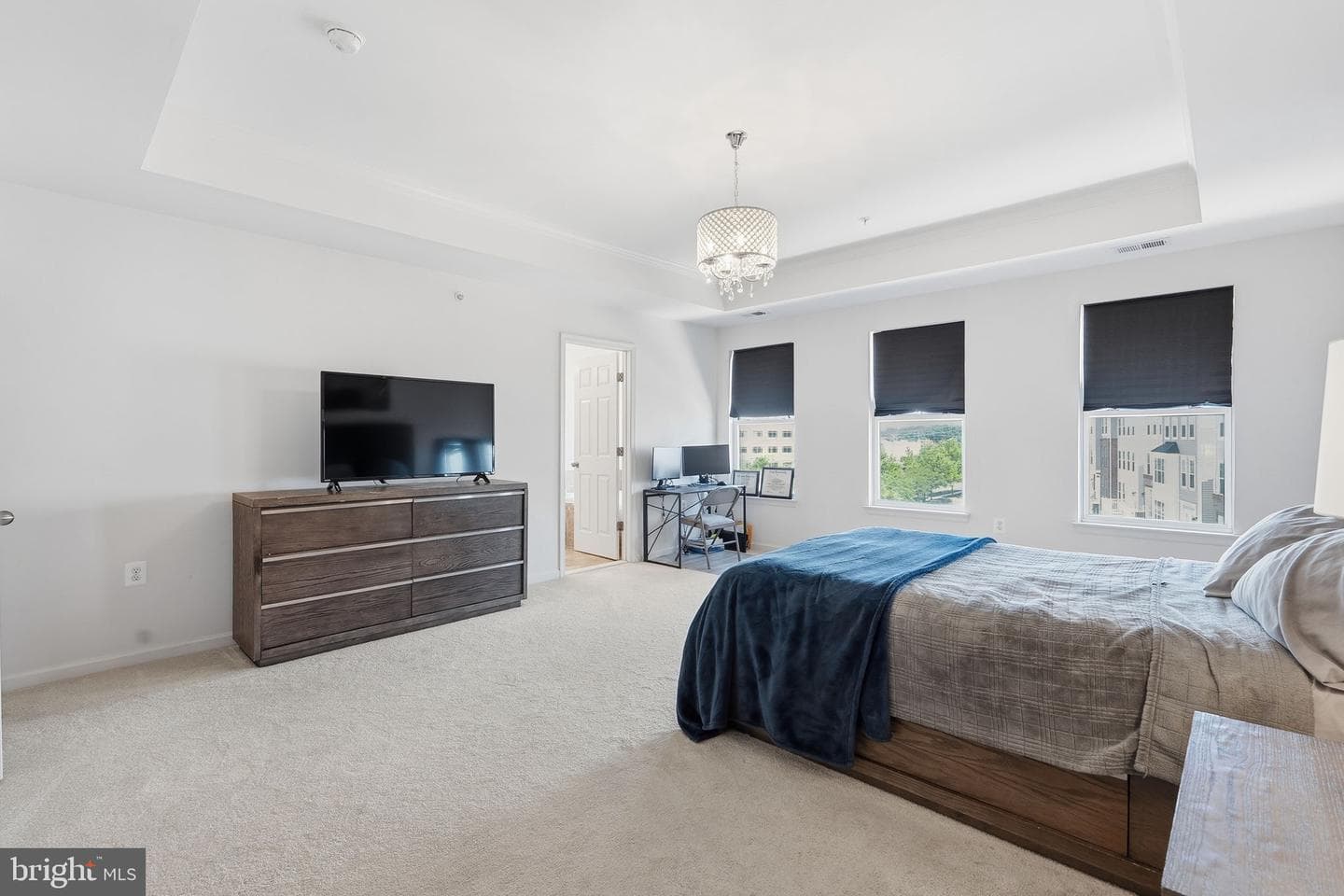 42167 Canary Grass Square photo 28