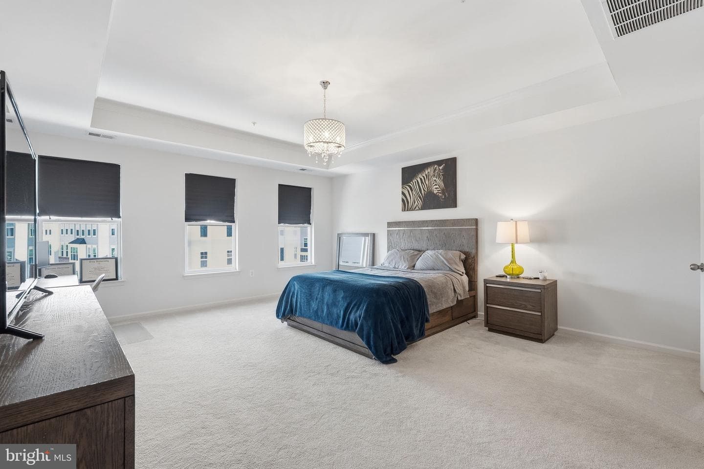 42167 Canary Grass Square photo 29