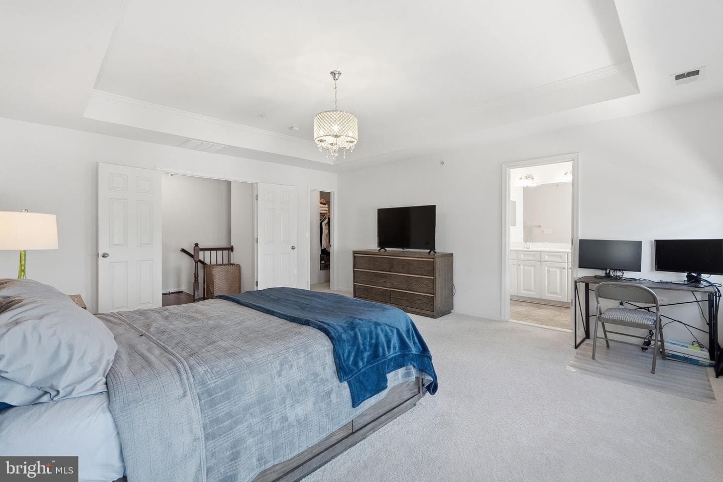 42167 Canary Grass Square photo 32