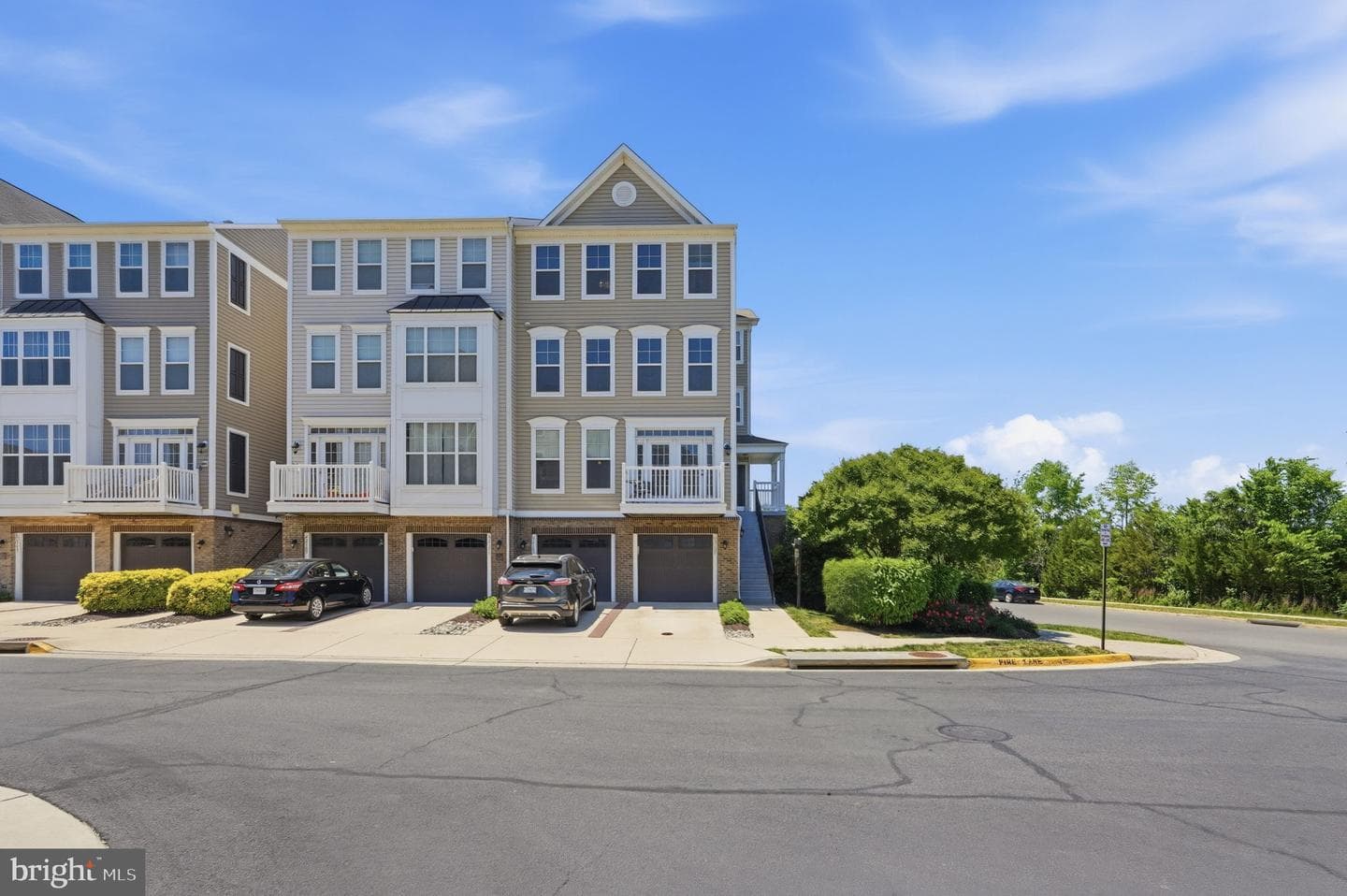 42167 Canary Grass Square photo 44