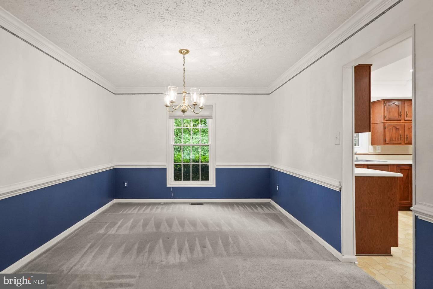 169 Applegate Drive photo 13