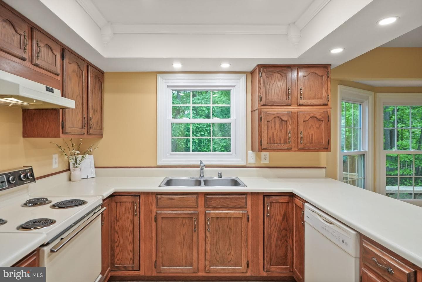 169 Applegate Drive photo 18