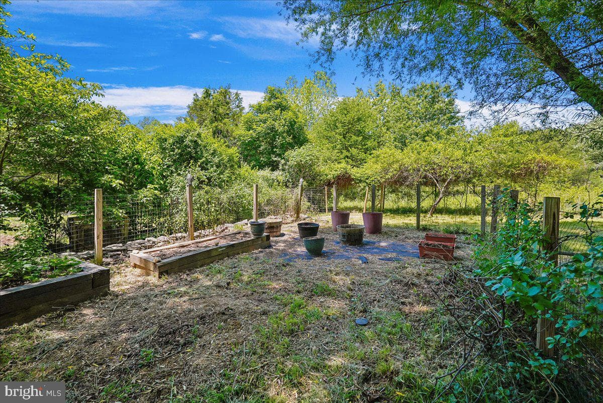 41065 Hickory Shade Lane photo 64